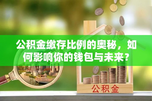 金阳公积金缴存比例的奥秘，如何影响你的钱包与未来？