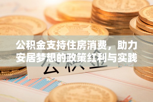 金阳公积金支持住房消费，助力安居梦想的政策红利与实践