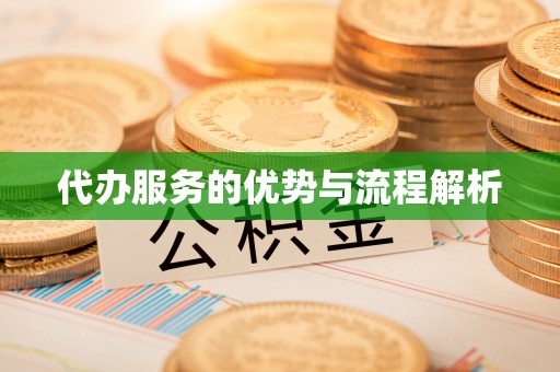 金阳代办服务的优势与流程解析