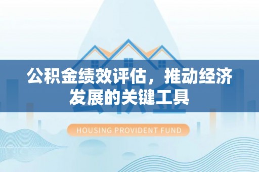 金阳公积金绩效评估，推动经济发展的关键工具