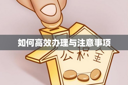 金阳如何高效办理与注意事项