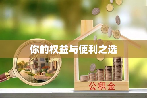 金阳你的权益与便利之选
