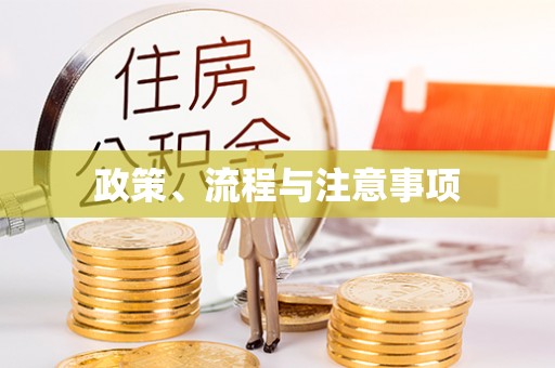 金阳政策、流程与注意事项