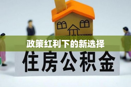 金阳政策红利下的新选择