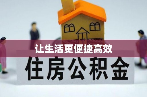 金阳让生活更便捷高效