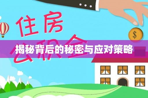 金阳揭秘背后的秘密与应对策略