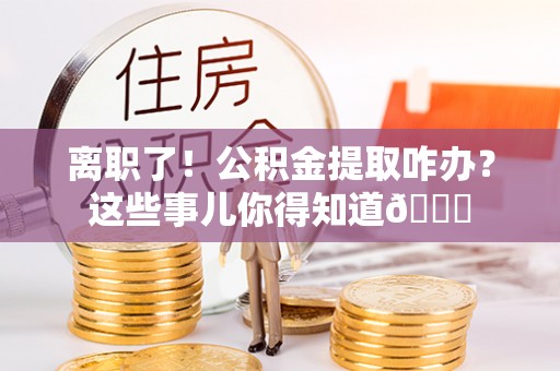 金阳离职了！公积金提取咋办？这些事儿你得知道😎