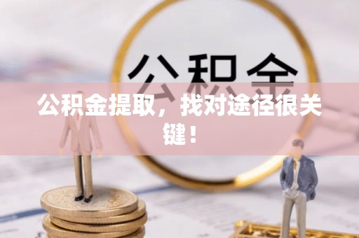 金阳公积金提取，找对途径很关键！