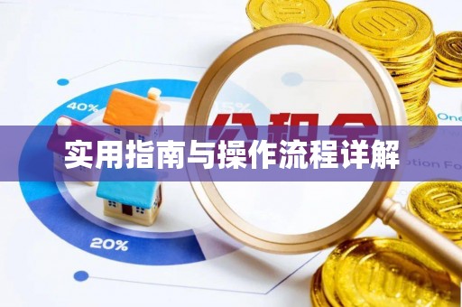 金阳实用指南与操作流程详解
