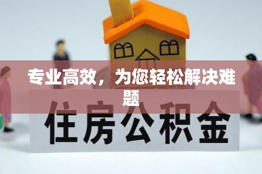 金阳专业高效，为您轻松解决难题