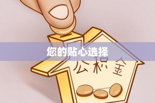 金阳您的贴心选择