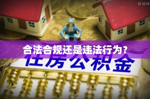 金阳合法合规还是违法行为？