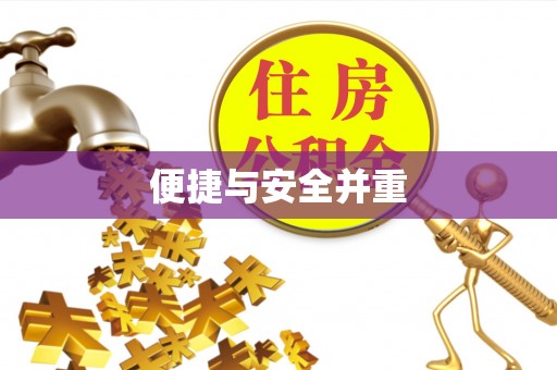 金阳便捷与安全并重