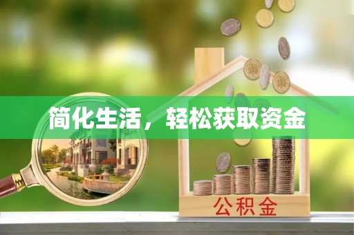 金阳简化生活，轻松获取资金