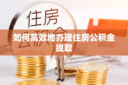 金阳如何高效地办理住房公积金提取
