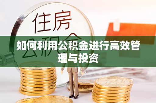 金阳如何利用公积金进行高效管理与投资