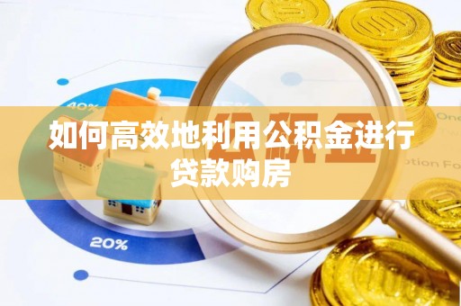 金阳如何高效地利用公积金进行贷款购房