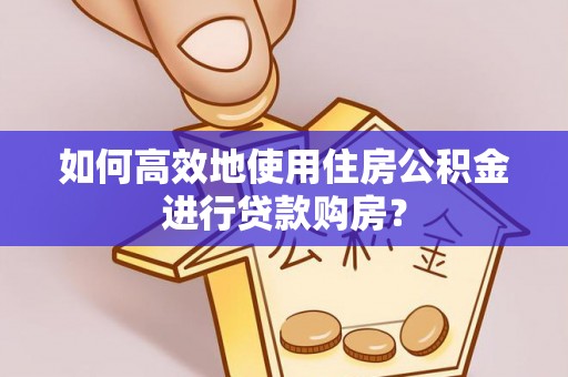 金阳如何高效地使用住房公积金进行贷款购房？