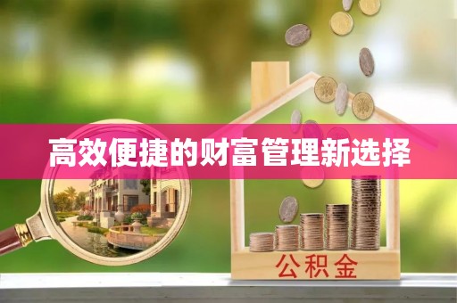 金阳高效便捷的财富管理新选择