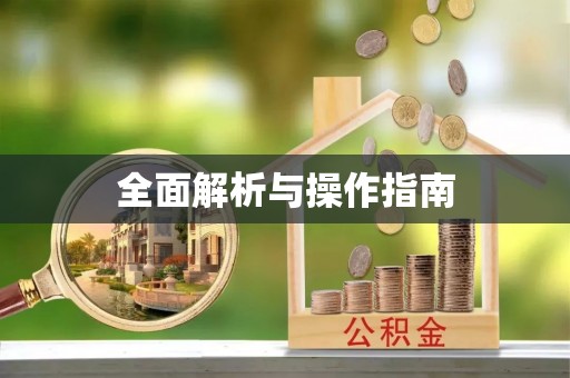 金阳全面解析与操作指南