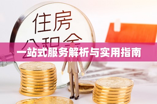 金阳一站式服务解析与实用指南