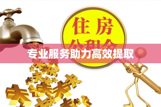 金阳专业服务助力高效提取
