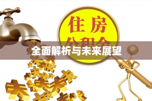 金阳全面解析与未来展望